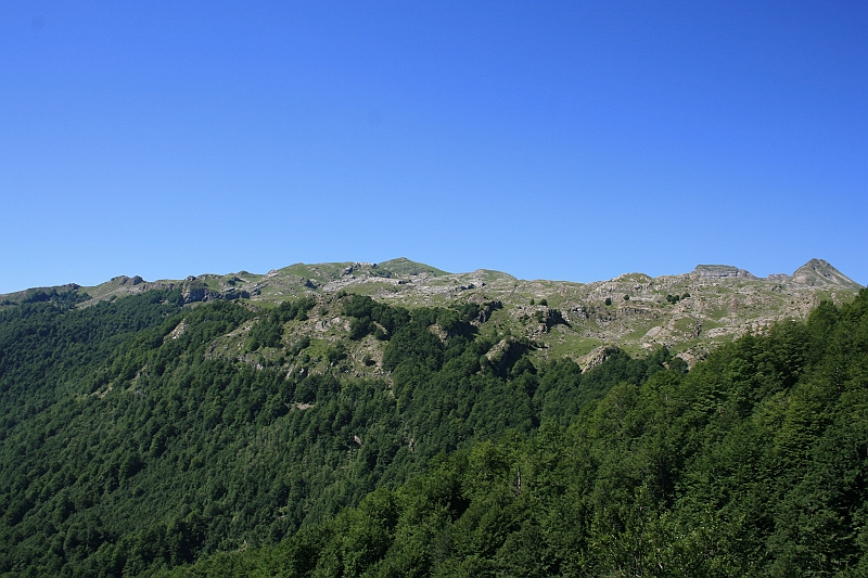 Albania 2008 092